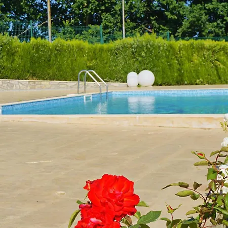 Villa Bellaview - вила белавю Byala (Varna)